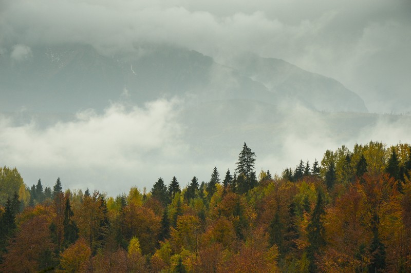 16 - Przełęcz nad Łapszanką z Łapsz. Jesienne mgły