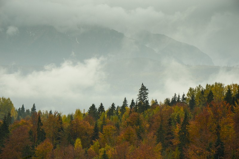 Przełęcz nad Łapszanką