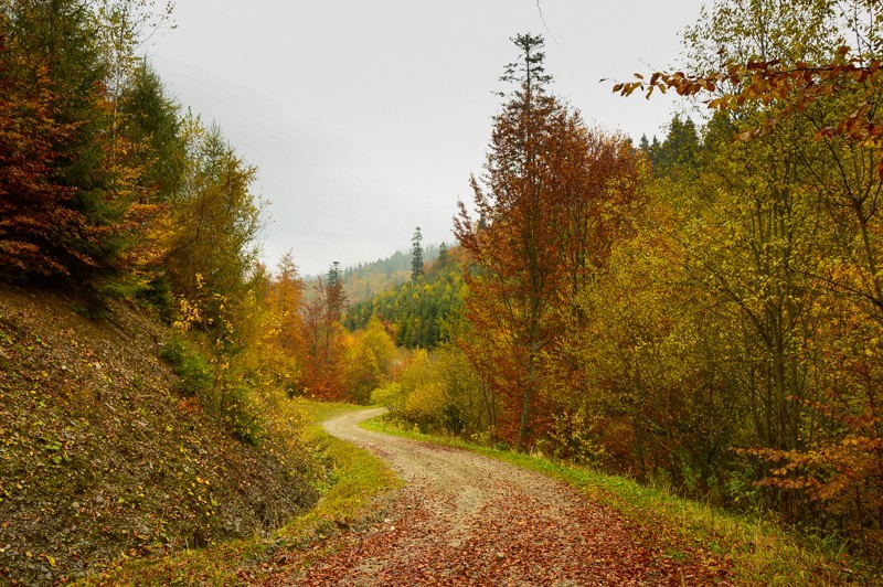 17 - Przełęcz nad Łapszanką z Łapsz. Jesienne mgły