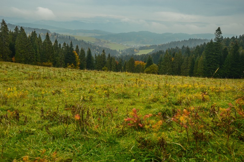 18 - Przełęcz nad Łapszanką z Łapsz. Jesienne mgły