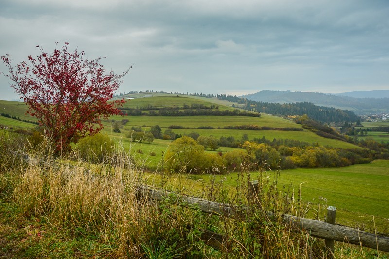 Przełęcz nad Łapszanką