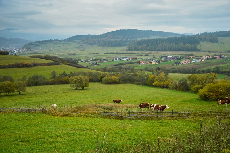 24 - Przełęcz nad Łapszanką z Łapsz. Jesienne mgły