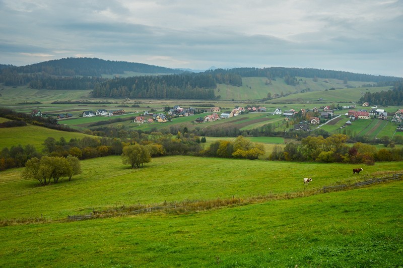 25 - Przełęcz nad Łapszanką z Łapsz. Jesienne mgły