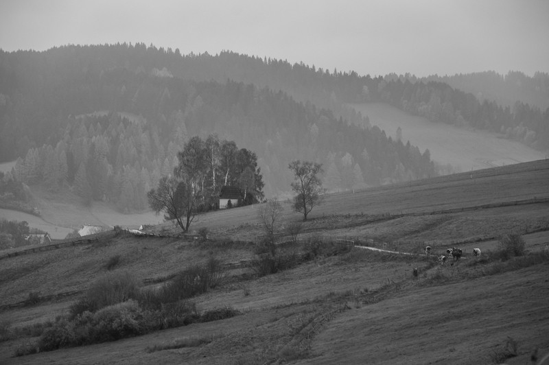 26 - Przełęcz nad Łapszanką z Łapsz. Jesienne mgły