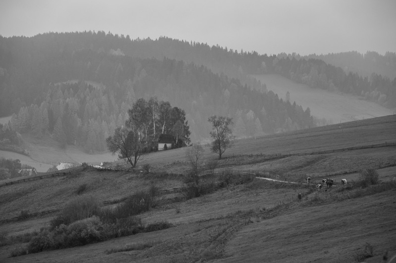 Przełęcz nad Łapszanką