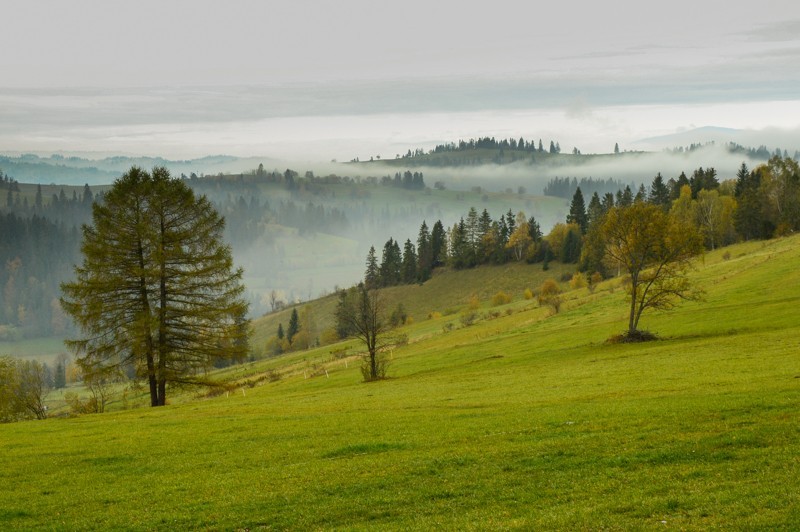 30 - Przełęcz nad Łapszanką z Łapsz. Jesienne mgły