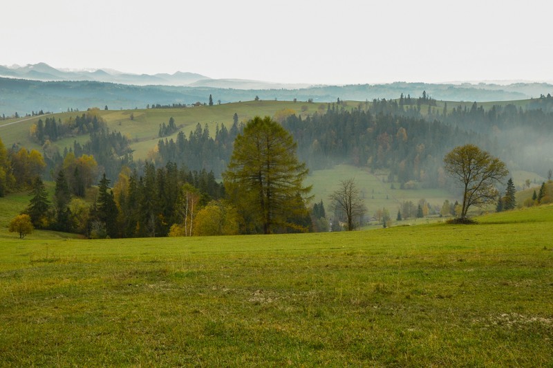 37 - Przełęcz nad Łapszanką z Łapsz. Jesienne mgły