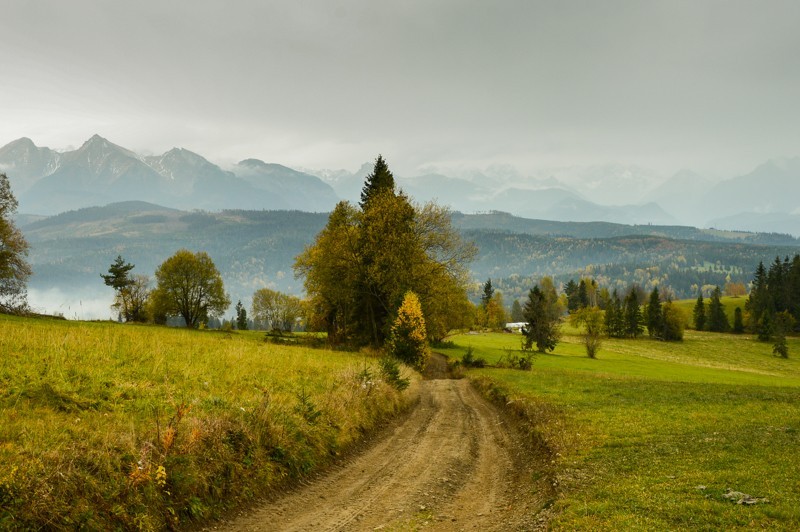 40 - Przełęcz nad Łapszanką z Łapsz. Jesienne mgły