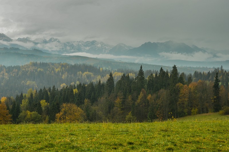 48 - Przełęcz nad Łapszanką z Łapsz. Jesienne mgły