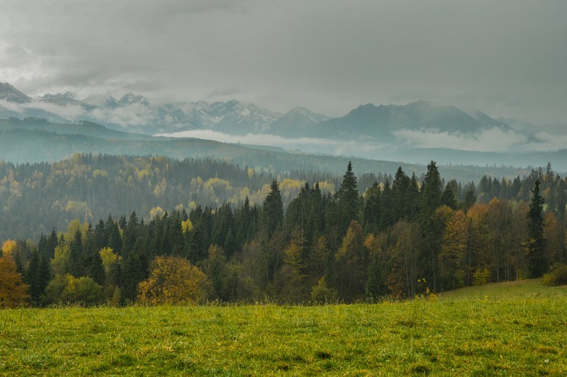 Przełęcz nad Łapszanką