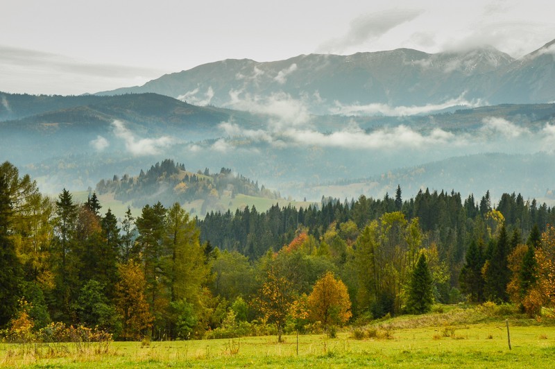 60 - Przełęcz nad Łapszanką z Łapsz. Jesienne mgły