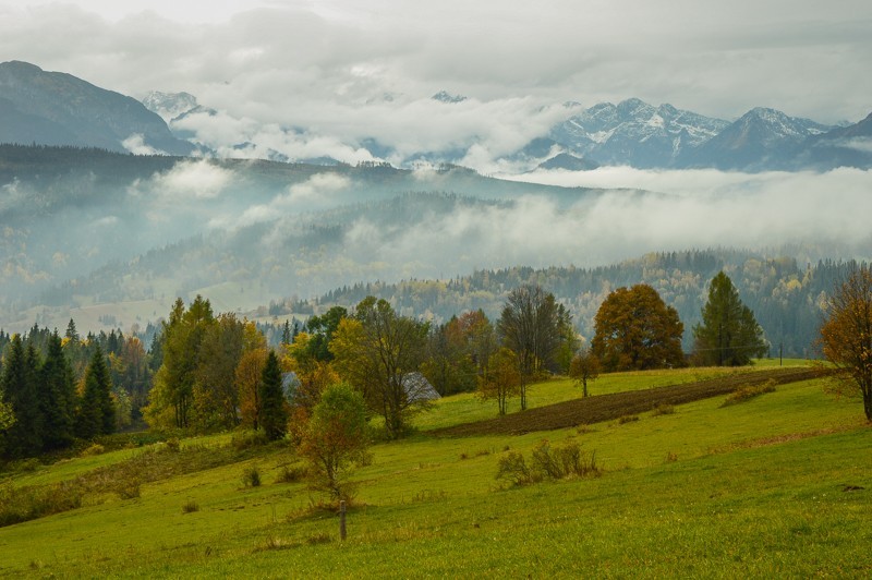 70 - Przełęcz nad Łapszanką z Łapsz. Jesienne mgły