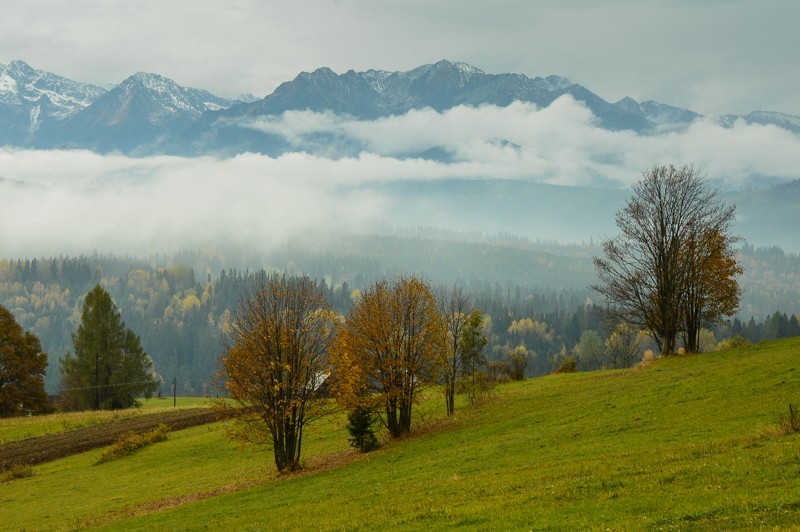 Przełęcz nad Łapszanką