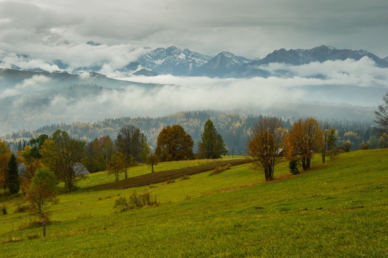 Przełęcz nad Łapszanką