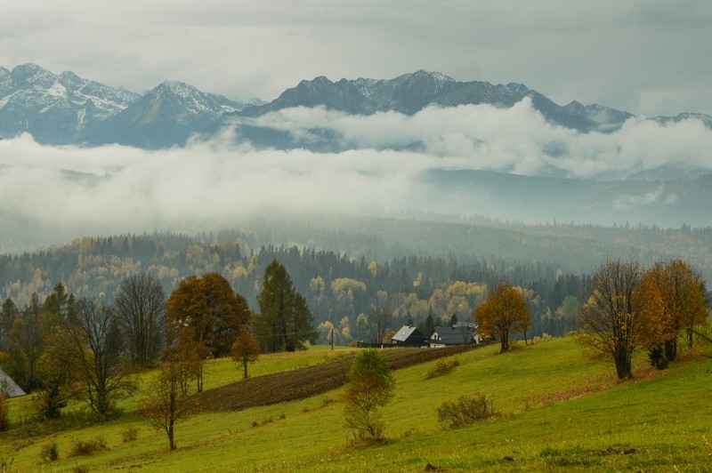 Przełęcz nad Łapszanką