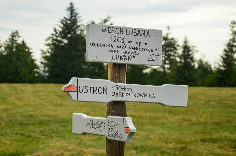 Lubań