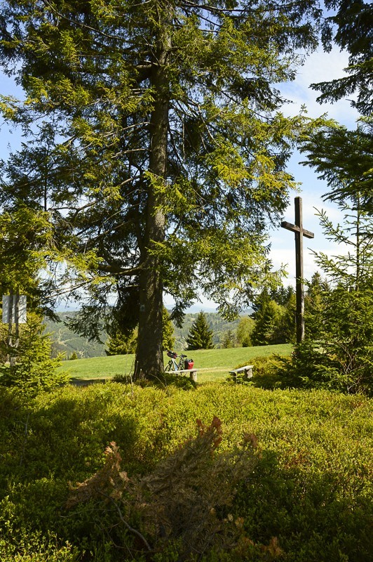 16 - Magura Cięcińska przez Słowiankę i fort Wyrwidąb