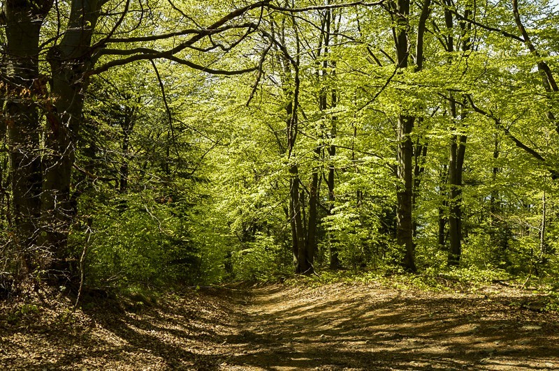 24 - Magura Cięcińska przez Słowiankę i fort Wyrwidąb