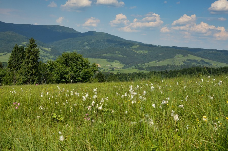 76 - Zielone Małe Pieniny i Wysoka. W to mi graj!