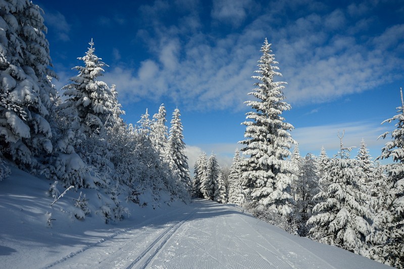 18 - Trasa wokół Mogielicy. Zimowy Beskid Wyspowy