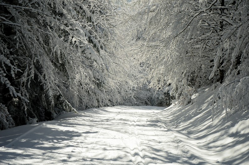 22 - Trasa wokół Mogielicy. Zimowy Beskid Wyspowy