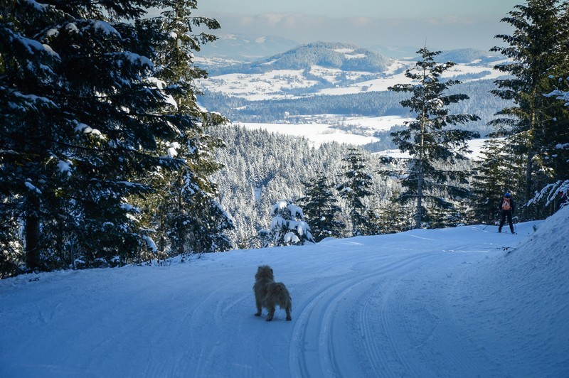 24 - Trasa wokół Mogielicy. Zimowy Beskid Wyspowy