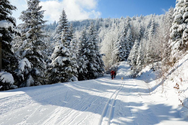 26 - Trasa wokół Mogielicy. Zimowy Beskid Wyspowy