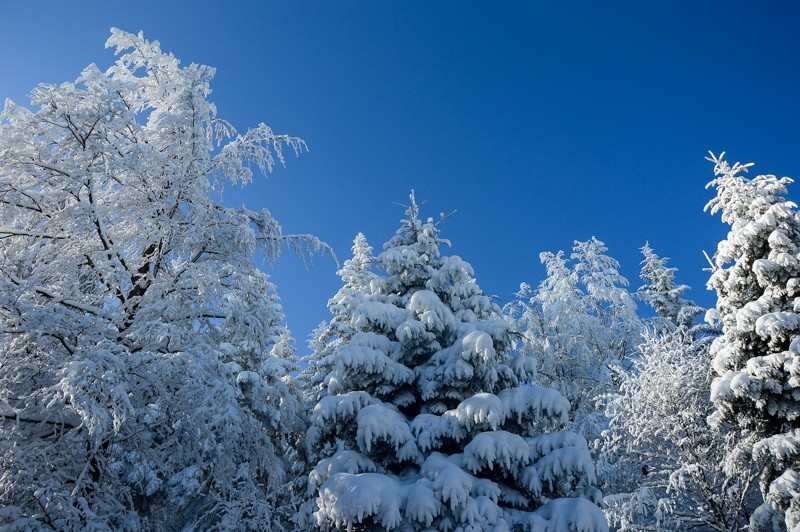 28 - Trasa wokół Mogielicy. Zimowy Beskid Wyspowy