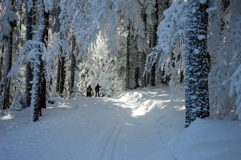 35 - Trasa wokół Mogielicy. Zimowy Beskid Wyspowy