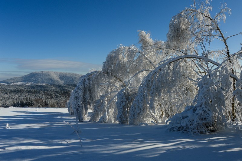 47 - Trasa wokół Mogielicy. Zimowy Beskid Wyspowy