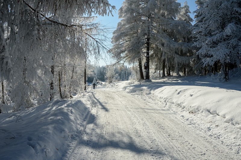 48 - Trasa wokół Mogielicy. Zimowy Beskid Wyspowy