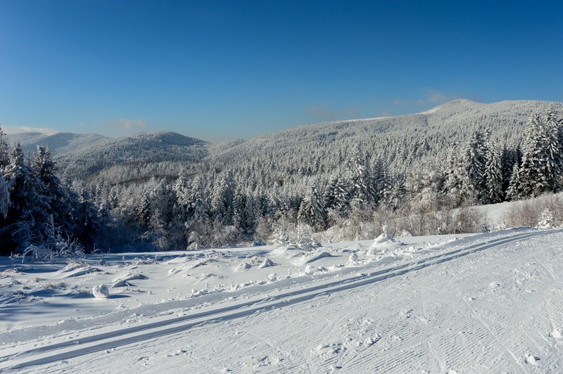 49 - Trasa wokół Mogielicy. Zimowy Beskid Wyspowy