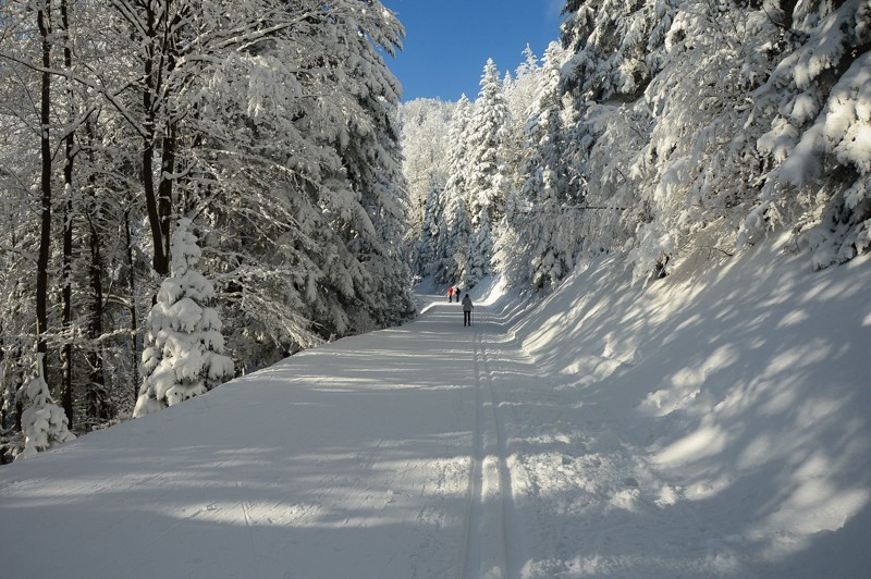62 - Trasa wokół Mogielicy. Zimowy Beskid Wyspowy