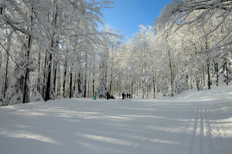 67 - Trasa wokół Mogielicy. Zimowy Beskid Wyspowy