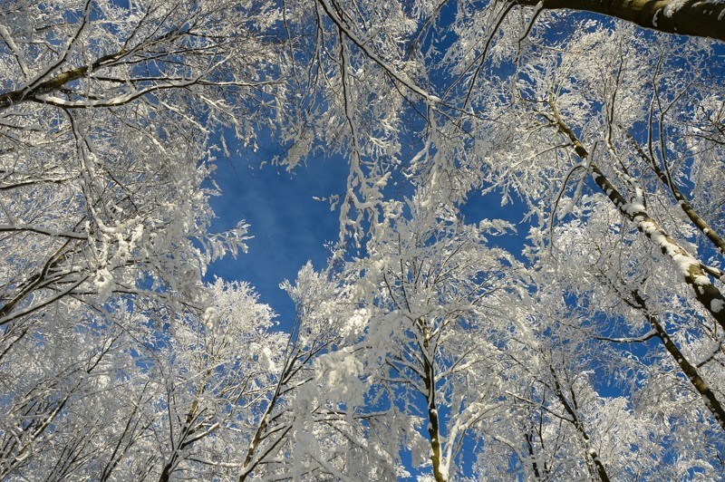 69 - Trasa wokół Mogielicy. Zimowy Beskid Wyspowy