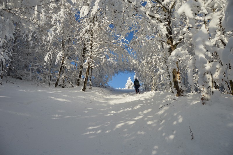 72 - Trasa wokół Mogielicy. Zimowy Beskid Wyspowy