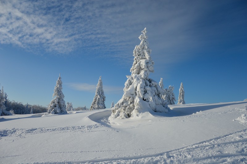 73 - Trasa wokół Mogielicy. Zimowy Beskid Wyspowy