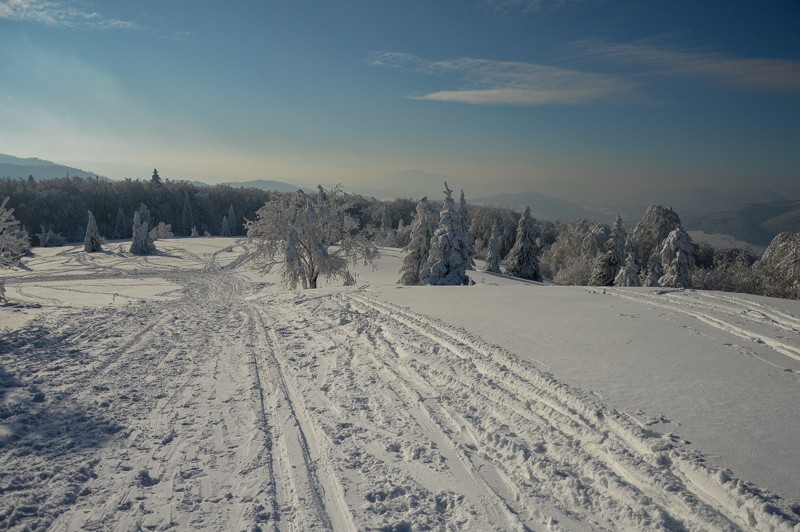 80 - Trasa wokół Mogielicy. Zimowy Beskid Wyspowy