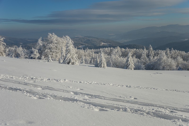 84 - Trasa wokół Mogielicy. Zimowy Beskid Wyspowy