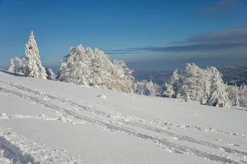 87 - Trasa wokół Mogielicy. Zimowy Beskid Wyspowy