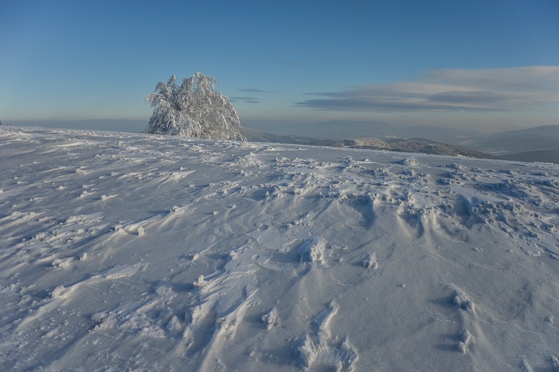 94 - Trasa wokół Mogielicy. Zimowy Beskid Wyspowy