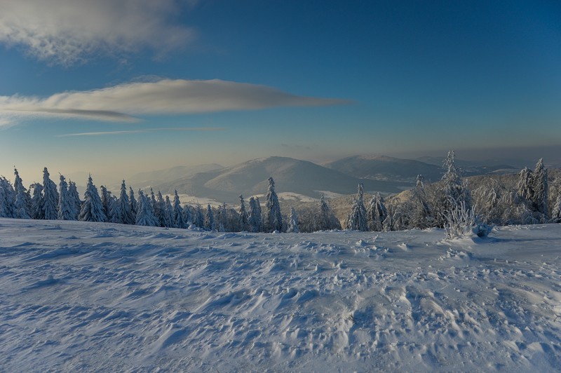 95 - Trasa wokół Mogielicy. Zimowy Beskid Wyspowy