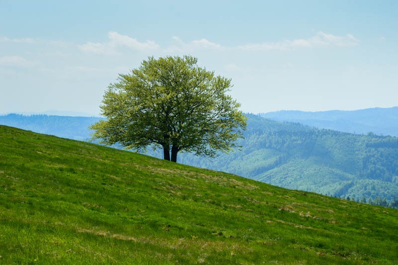 Na Halę Jaworową