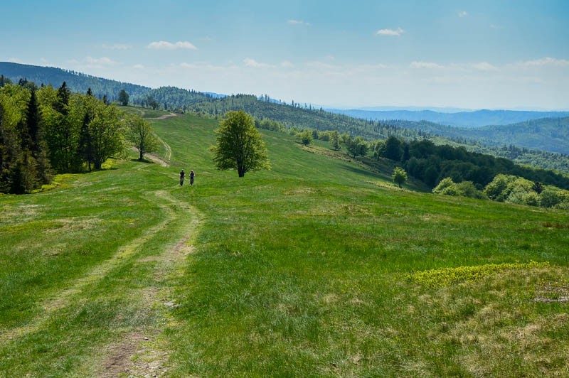 Na Halę Jaworową