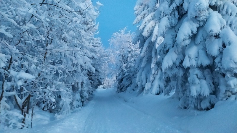 Śladami Olimpijczyków