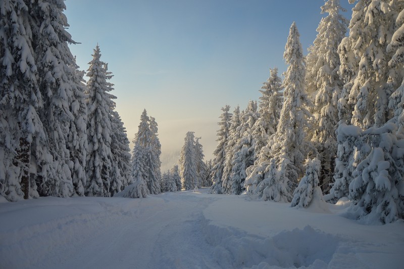 Szlak na Turbacz