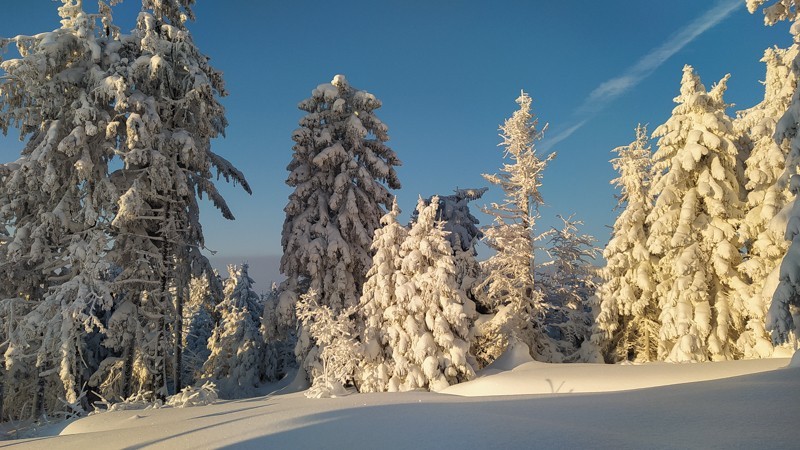 Śladami Olimpijczyków