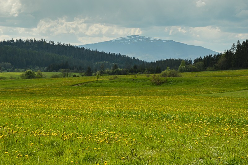 Przełęcz Bory