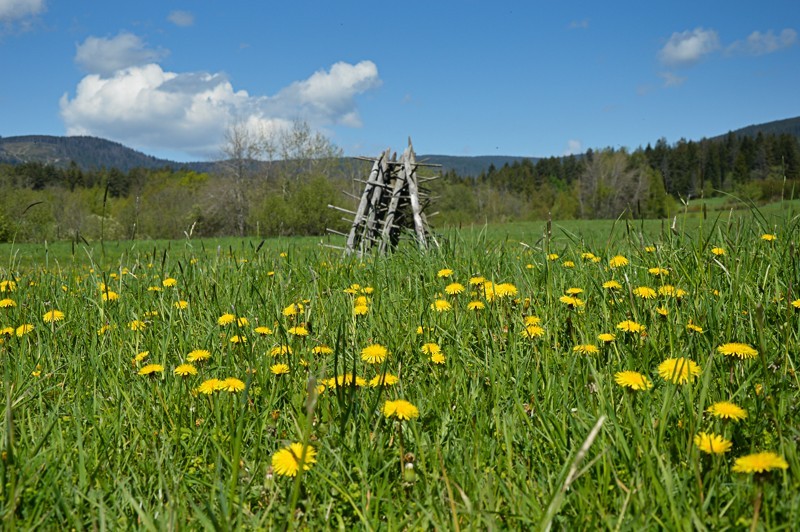 Babia Góra