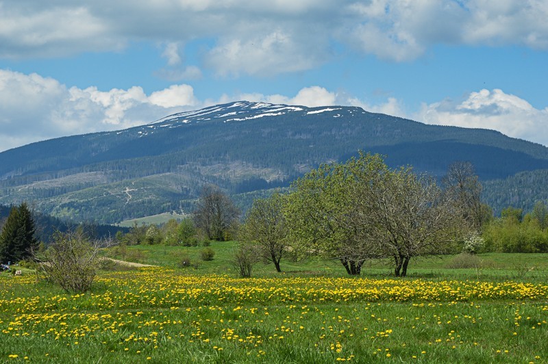 Babia Góra